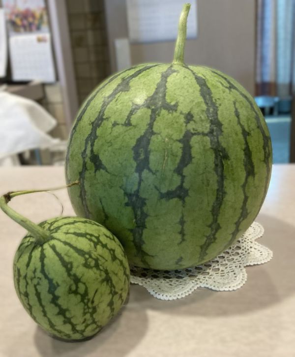 NEWS画像